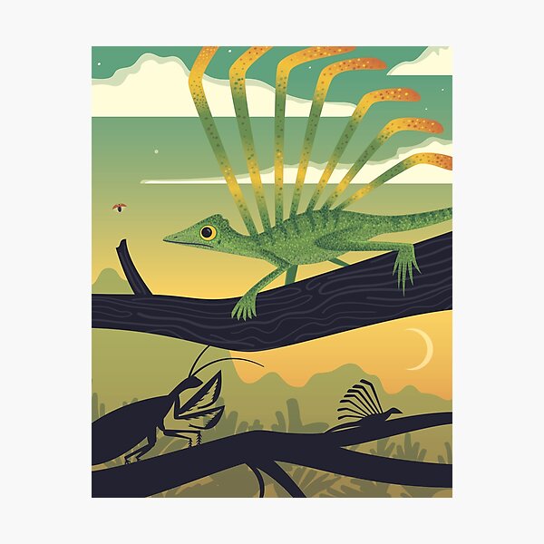 Longisquama Sunset Photographic Print
