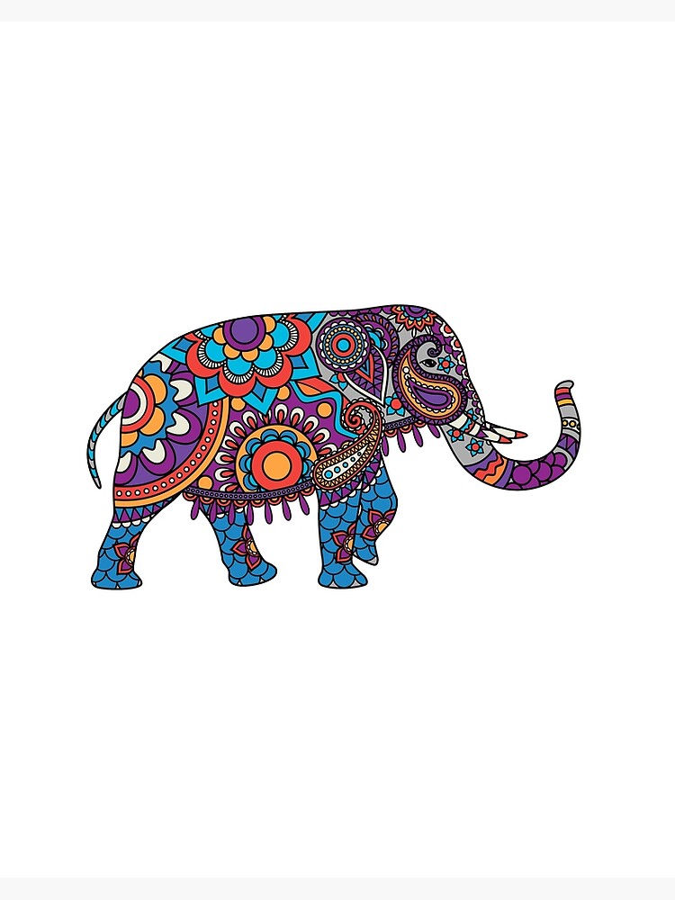 Want to learn how to draw an Elephant and bring it to life with colour? 🐘  Create your very own elephant with vibrant Jasart Studio Jumbo Colour  Pencils... | By Eckersley's Art