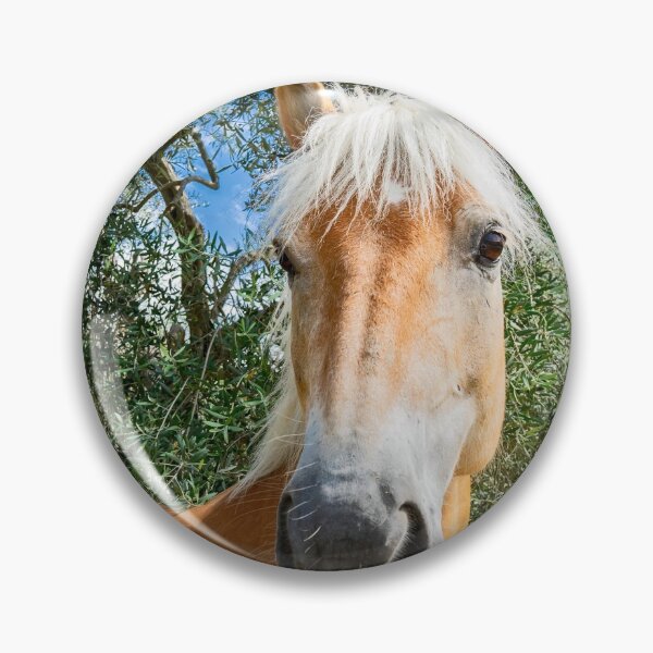 Item preview, Il cavallo biondo tra gli ulivi designed and sold by PepperMendez.