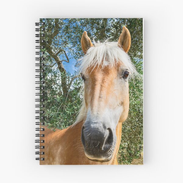 Item preview, Il cavallo biondo tra gli ulivi designed and sold by PepperMendez.