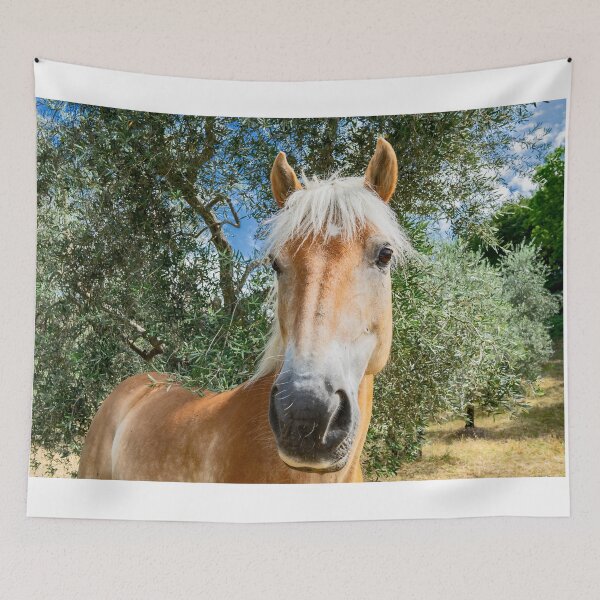 Item preview, Il cavallo biondo tra gli ulivi designed and sold by PepperMendez.