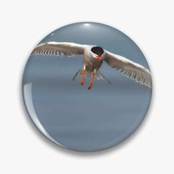 Item preview, Common Tern in Flight designed and sold by Gerard Fornarotto.