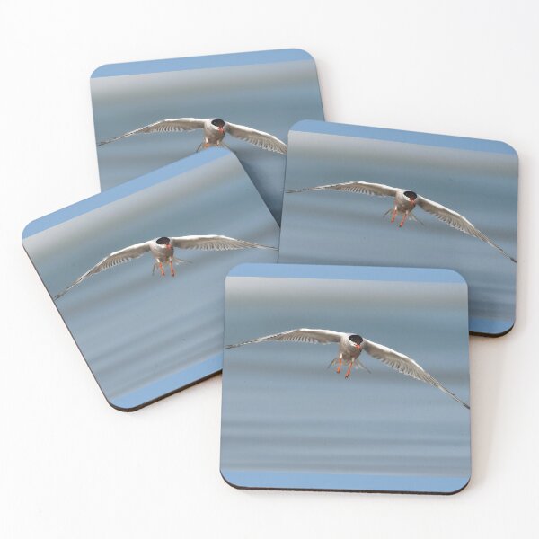 Item preview, Common Tern in Flight designed and sold by Gerard Fornarotto.