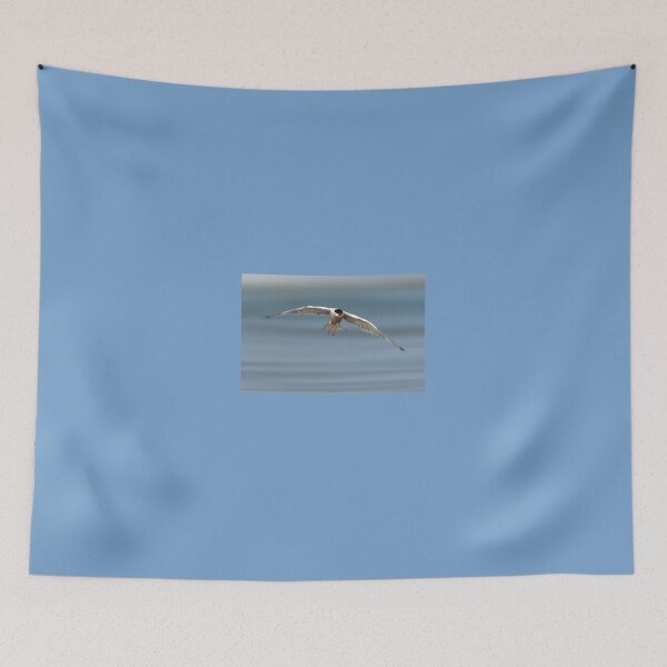 Item preview, Common Tern in Flight designed and sold by Gerard Fornarotto.