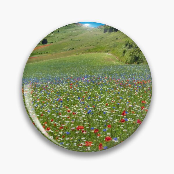 Item preview, Blooming of lentil on Castelluccio di Norcia plain designed and sold by zakaz86.