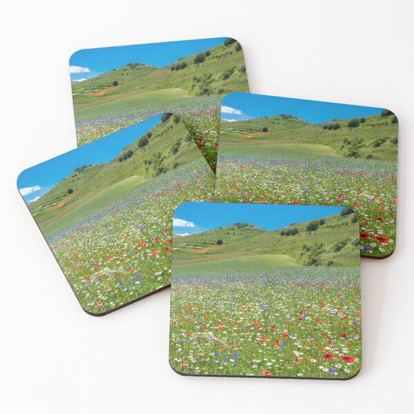Item preview, Blooming of lentil on Castelluccio di Norcia plain designed and sold by zakaz86.