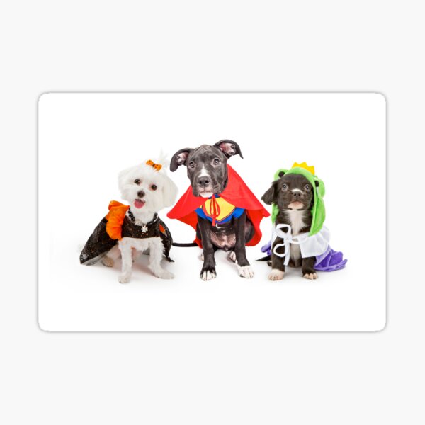 Happy Puppy Halloween Sticker