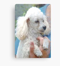 Lil darlin' Metal Print