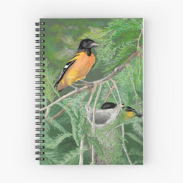 Item preview, Orioles colgar juntos designed and sold by Carole Boyd.