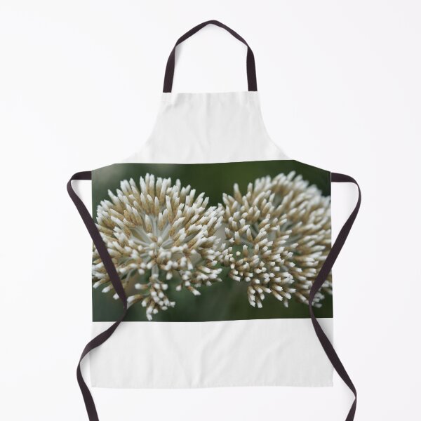 Item preview,  When Worlds COLLIDE designed and sold by Michelle Lee Blatt.