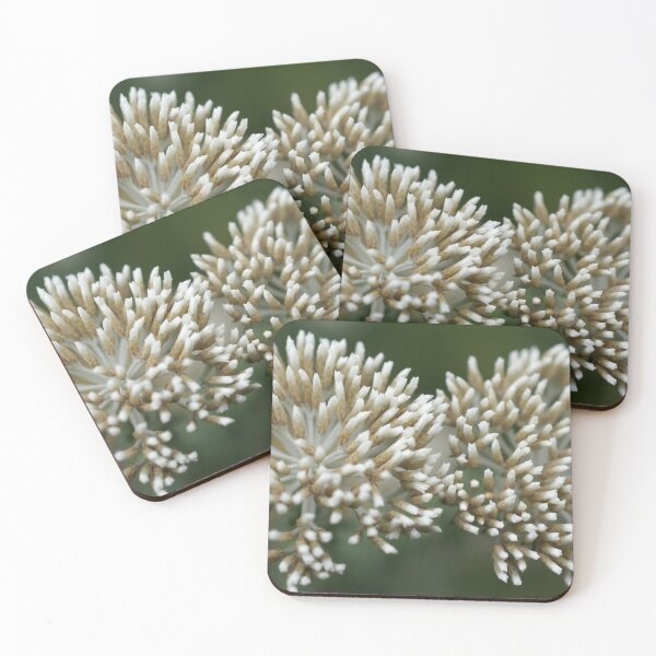 Item preview,  When Worlds COLLIDE designed and sold by Michelle Lee Blatt.