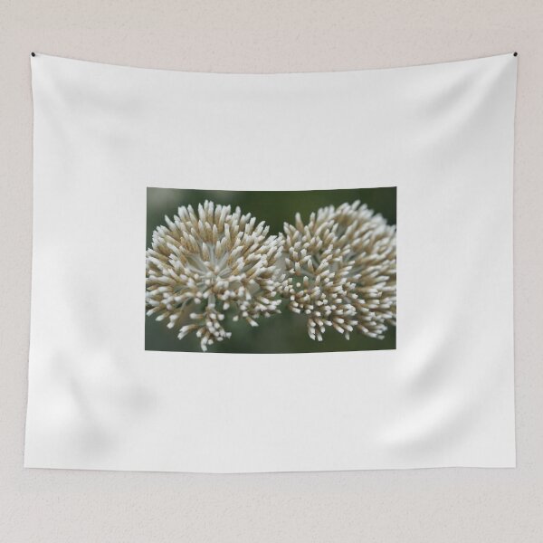 Item preview,  When Worlds COLLIDE designed and sold by Michelle Lee Blatt.