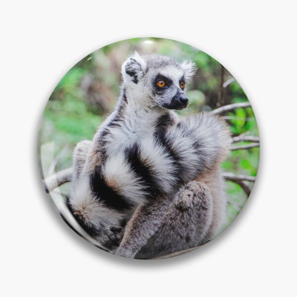 Item preview, Ring-tailed lemur, Madagascar  designed and sold by tegant.