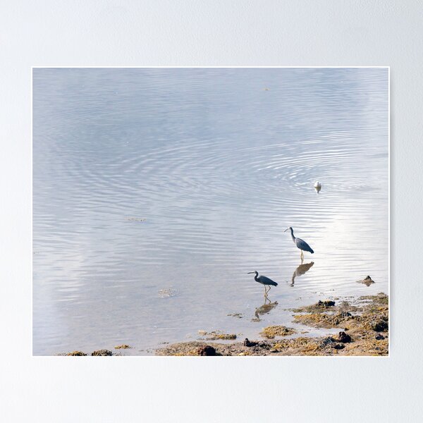 Item preview, Lazy Afternoon designed and sold by Harry Oldmeadow.