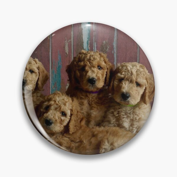 Item preview, Golden Retriever Puppy Valentine's Day Card designed and sold by critterville.