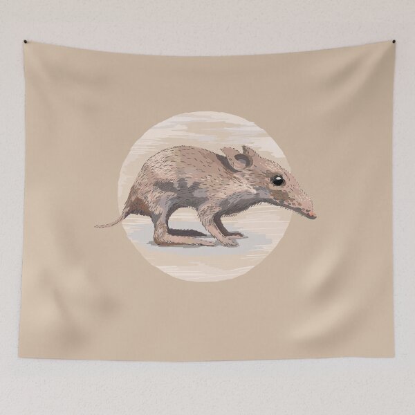Item preview, Bandicoot designed and sold by korasi.