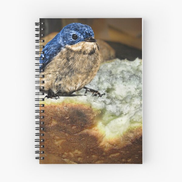 Item preview, Blue Bird on a BisKit designed and sold by GolemAura.