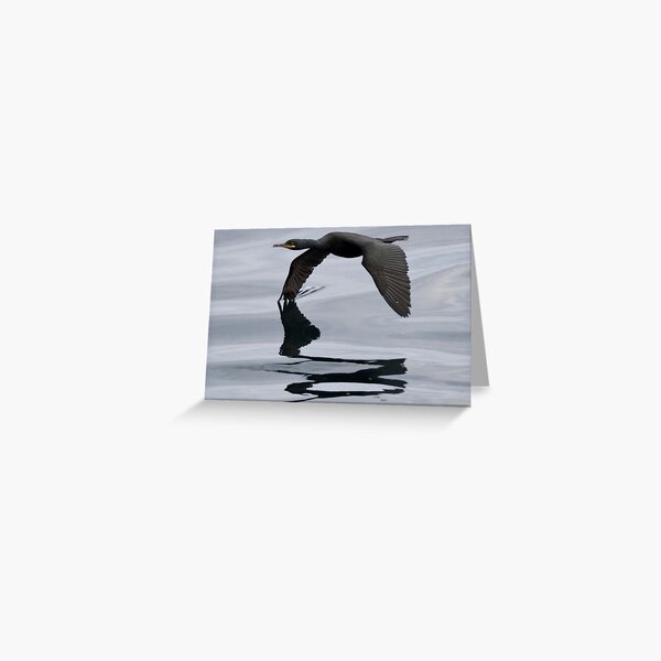 Item preview, Low flying shag designed and sold by Alan Mackinnon.