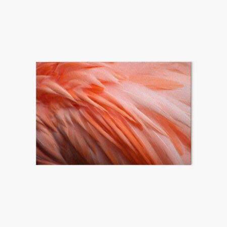 Flamingo bird feathers Art Board Print