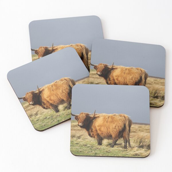 Item preview, Highland Cow  designed and sold by Alan Mackinnon.