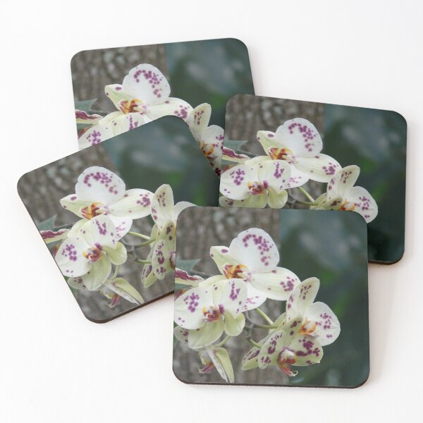 Item preview, Wild Orchid designed and sold by Monika's Shop.