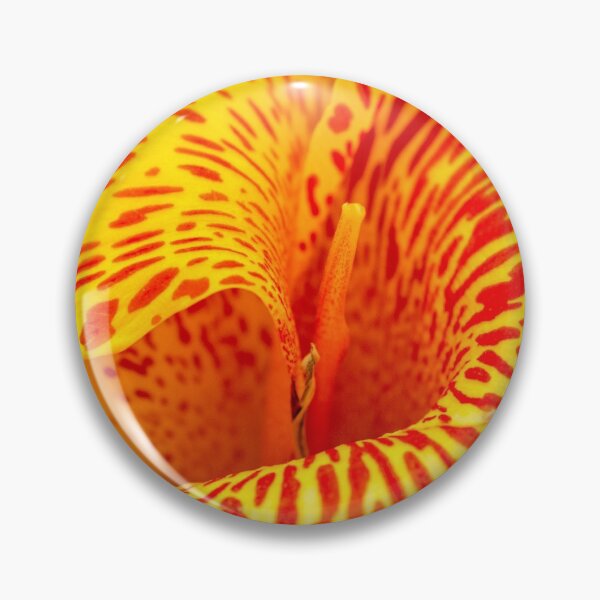 Artikelvorschau, Brilliant Orange Iris entworfen und verkauft von robspencer.