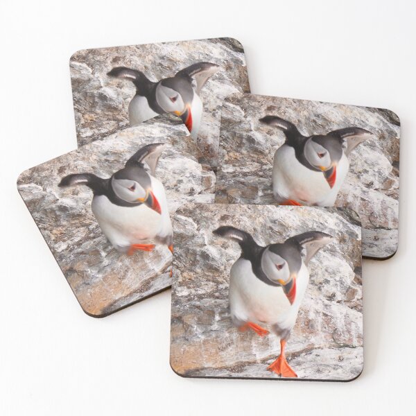 Item preview, Dancing puffin designed and sold by Alan Mackinnon.