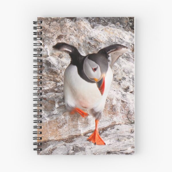 Item preview, Dancing puffin designed and sold by Alan Mackinnon.