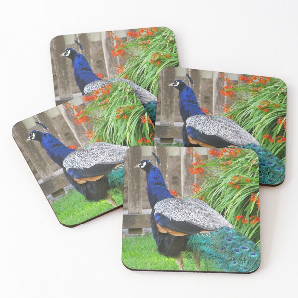 Item preview, Bright Peacock designed and sold by WildandDivine.