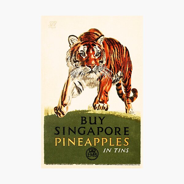 Item preview, Buy Singapore Pineapples in Tin Tiger Vintage Canned Food Advertisement designed and sold by retroposters.