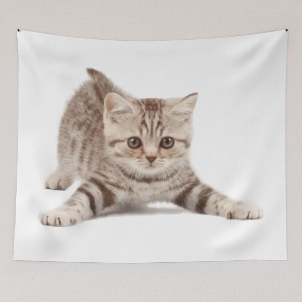 Item preview, Kute Kitten designed and sold by Designs By Creation.