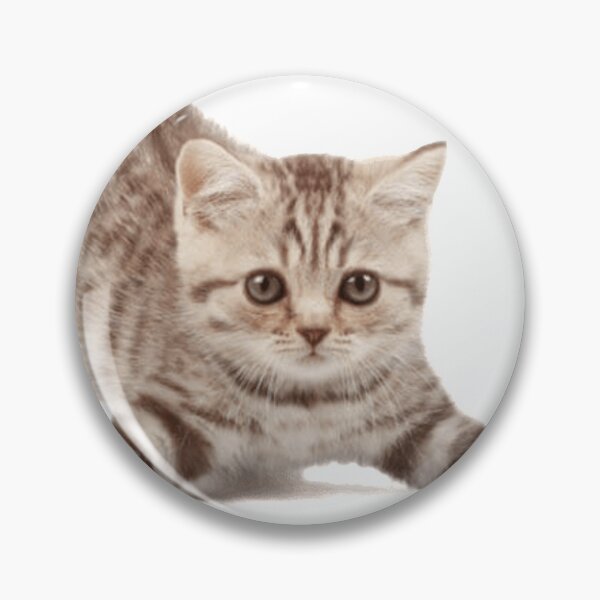 Item preview, Kute Kitten designed and sold by Designs By Creation.
