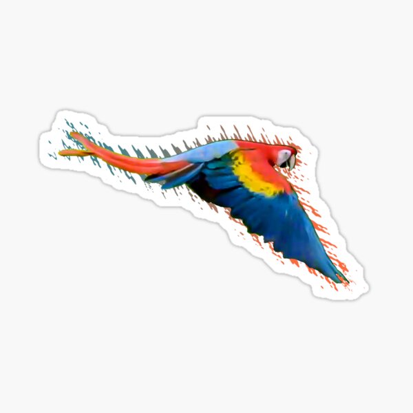 Scarlet macaw downwards wings Sticker