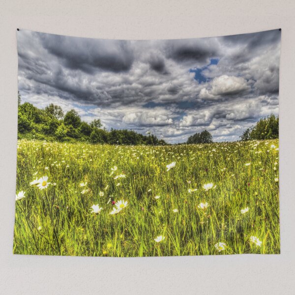 Item preview, The Summer Daisy Field designed and sold by Londonimages.
