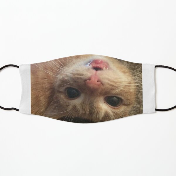 Upside Down Smiles Kids Mask