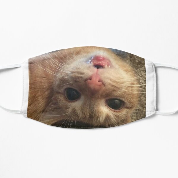 Upside Down Smiles Mask