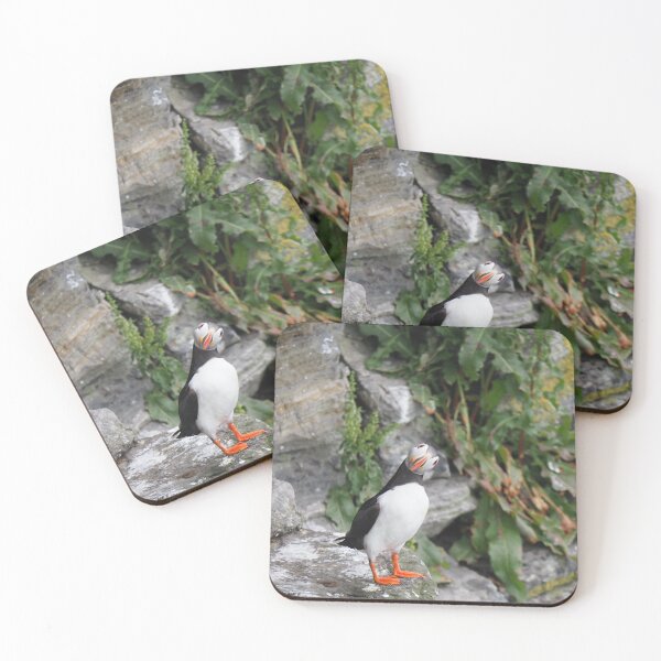 Item preview, An inquisitive puffin  designed and sold by Alan Mackinnon.