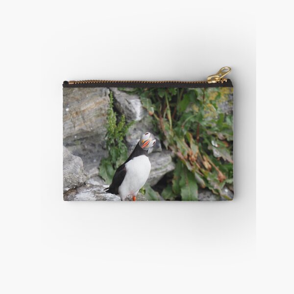 Item preview, An inquisitive puffin  designed and sold by Alan Mackinnon.