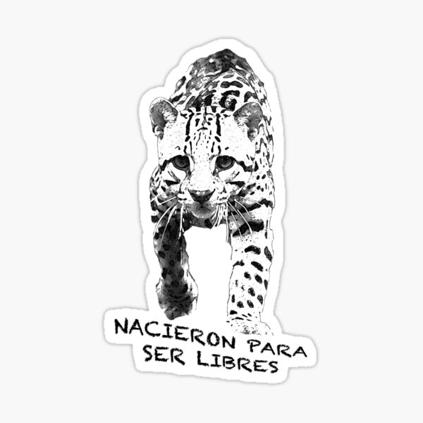 Ocelot: Born to be Free Sticker
