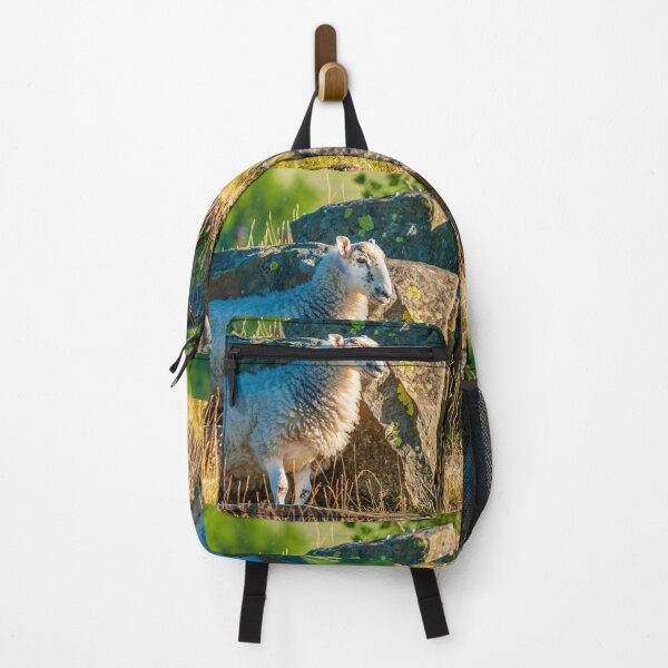 Item preview, Sheep next to rocks designed and sold by Dalyndigital Photography.