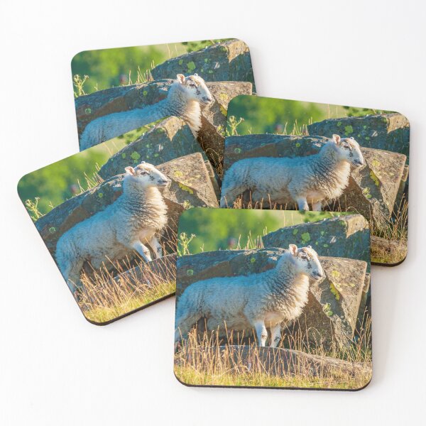 Item preview, Sheep next to rocks designed and sold by Dalyndigital Photography.