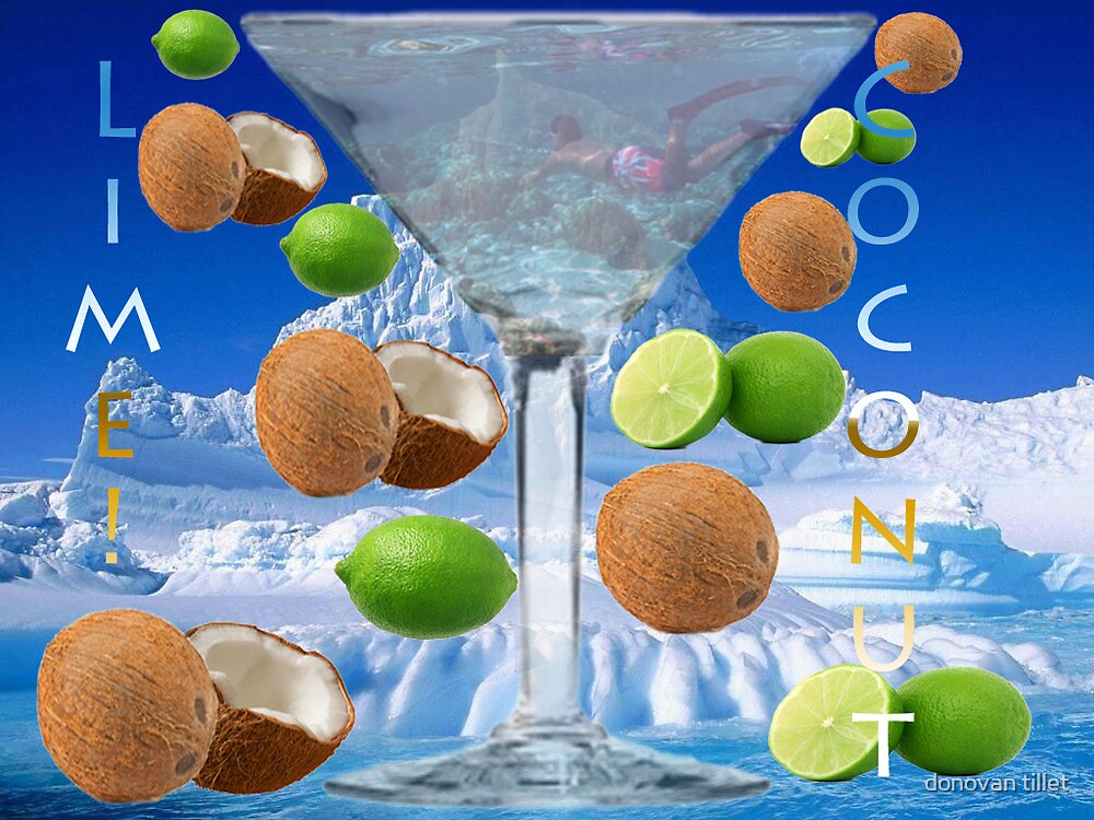 "you put the lime in the coconut" by donovan tillet Redbubble