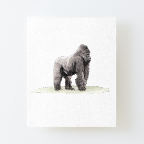 Silverback Gorilla Canvas Mounted Print
