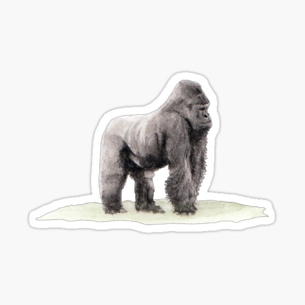 Angry Roaring Silverback Gorilla Water Resistant Temporary Tattoo Set Fake  Body Art Collection - Light Green - Walmart.com