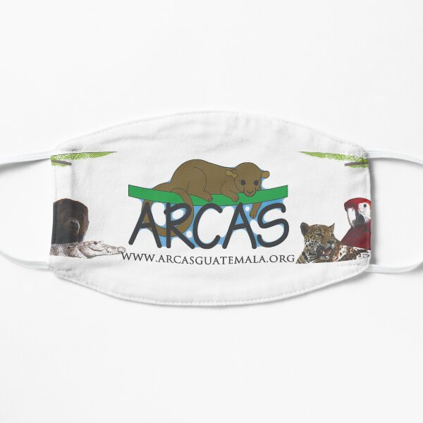 ARCAS logo Banner Flat Mask