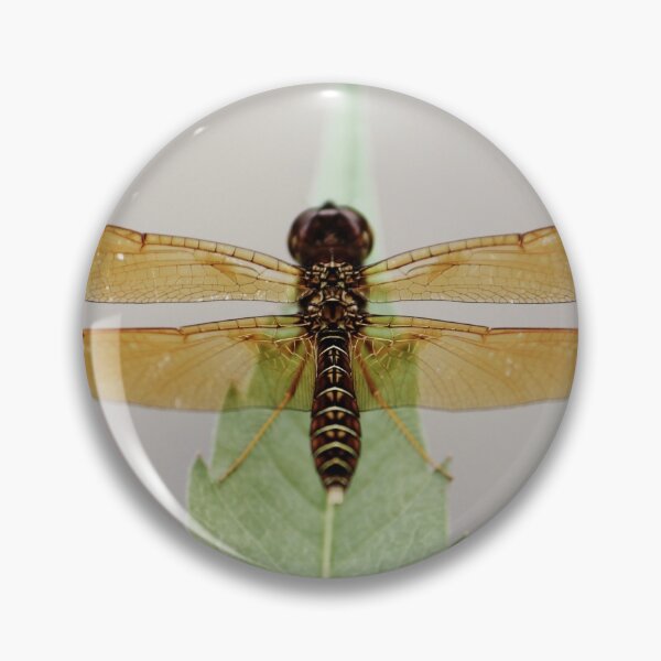 Item preview, Brown Dragonfly designed and sold by Islandjunkie09.
