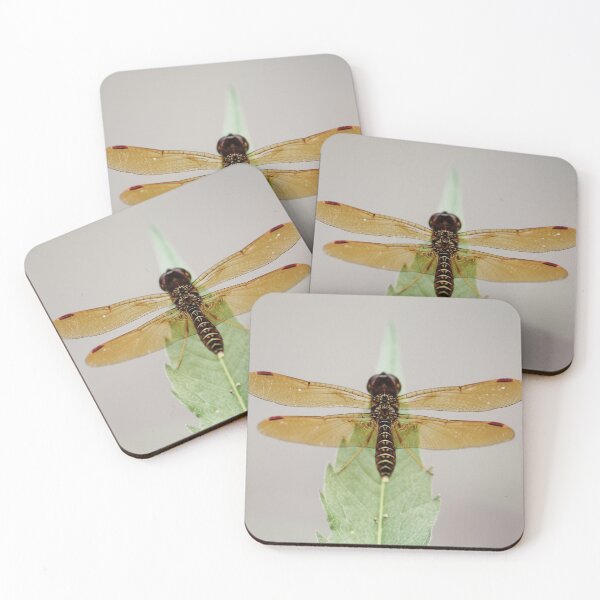 Item preview, Brown Dragonfly designed and sold by Islandjunkie09.