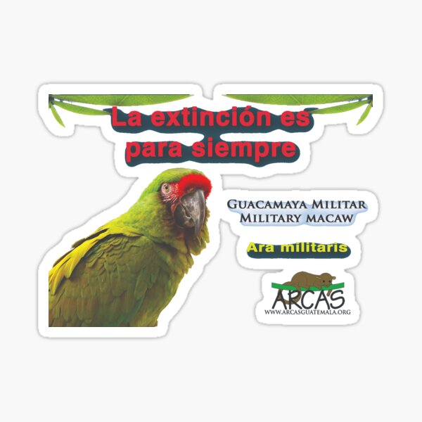 Extinction is for ever: military macaw Sticker