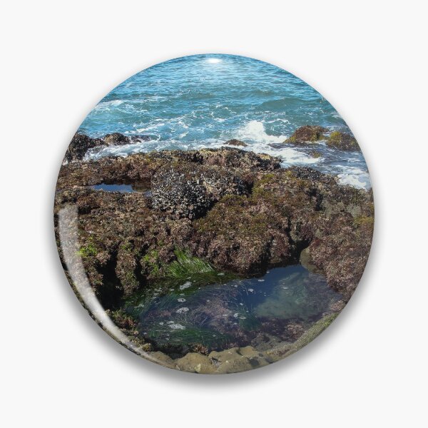 Item preview, View Over the Tide Pool designed and sold by heatherfriedman.