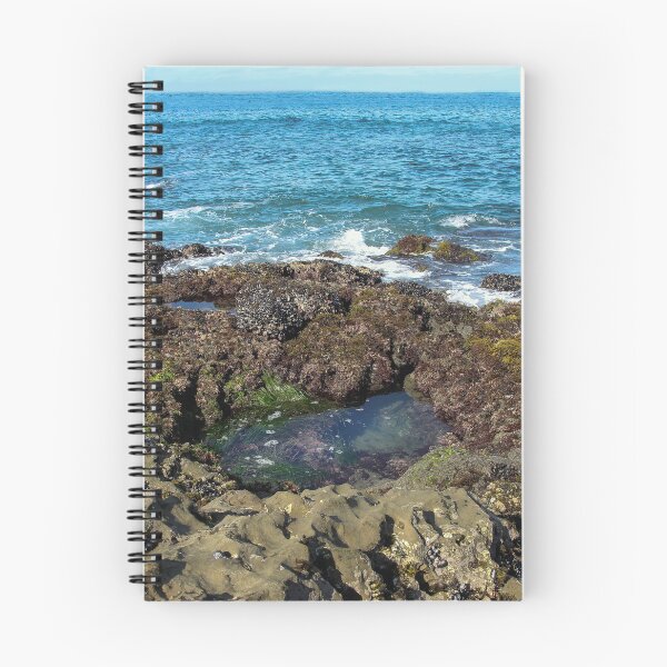 Item preview, View Over the Tide Pool designed and sold by heatherfriedman.